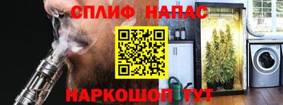 дмт Краснодар
