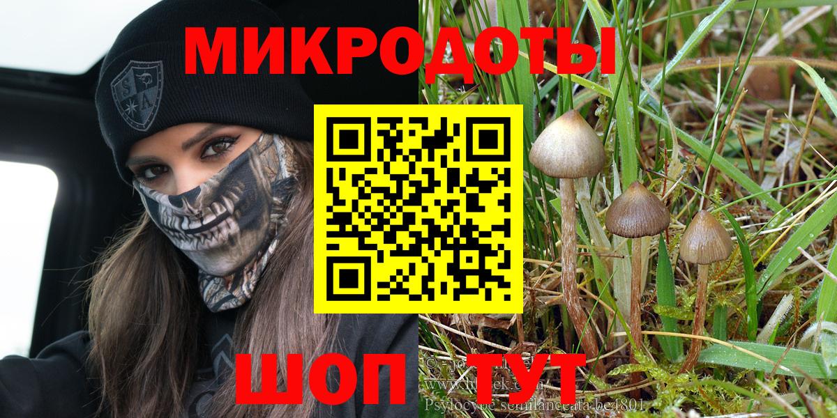 Галлюциногенные грибы Psilocybine cubensis  Псилоцибиновые грибы Psilocybine cubensis  Калининград  Вход с VPN 